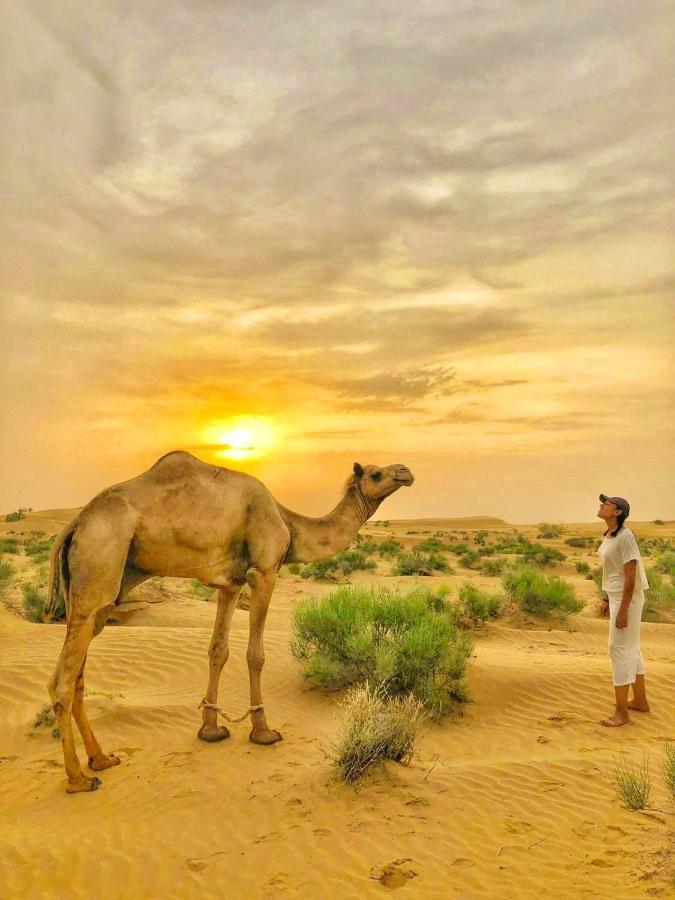 جيلسامر Hotel Desert Bloom المظهر الخارجي الصورة